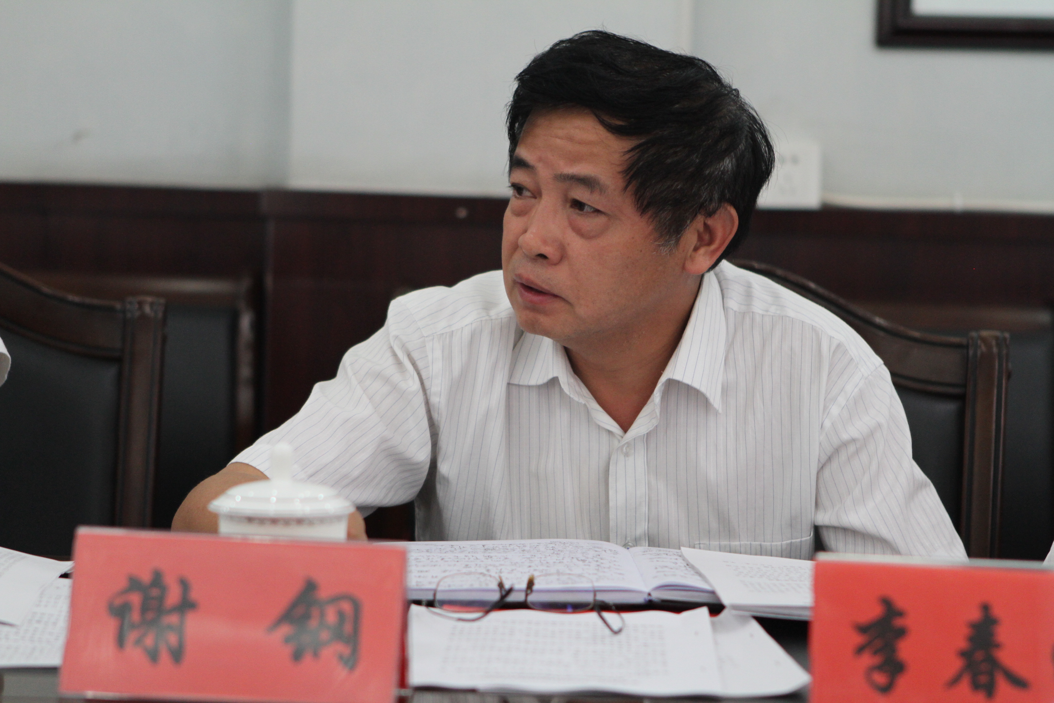 学院副院长 谢钢做个人对照检查汇报